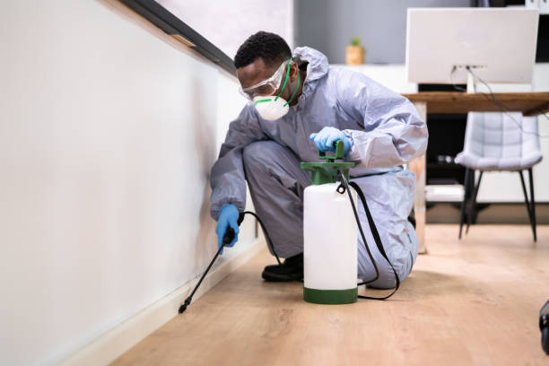 Emergency Pest Control Services in Jenkintown, PA